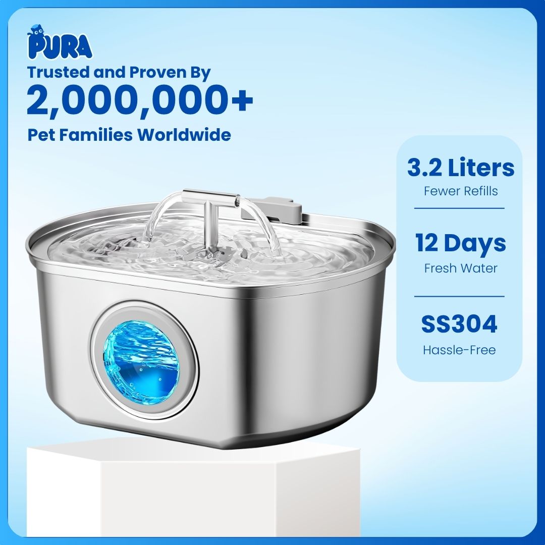 Pura Stainless Steel Water Fountain